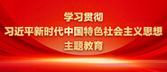 日本裸交xxxxxbbbbbbb学习贯彻习近平新时代中国特色社会主义思想主题教育_fororder_ad-371X160(2)